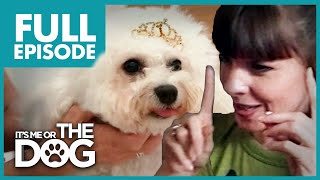 Barking Queen Bichon Frise: Lilly | Full Episode | It&#39;s Me or The Dog