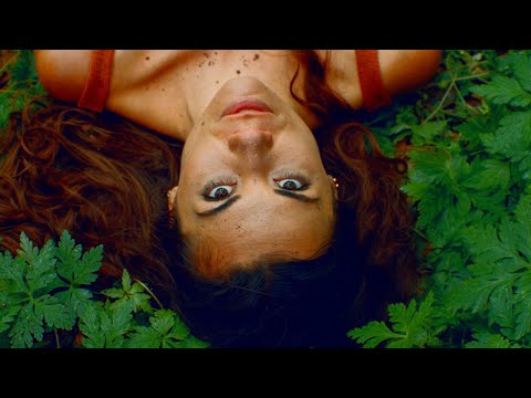 Aklea Neon - Ljudnjak (official video)