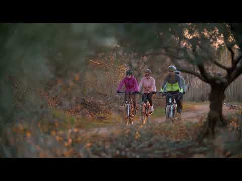 Parenzana Cycling Route