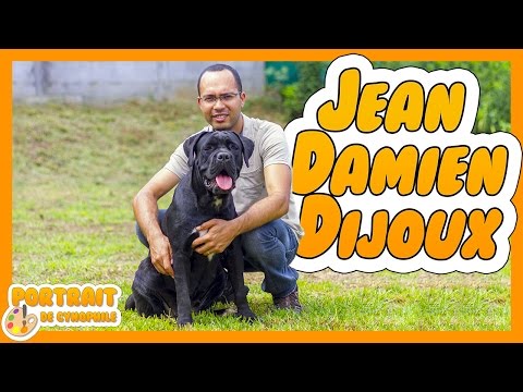 MMOK-Kutyák ortopédiai megbetegedései, Cane corso ízületi problémák