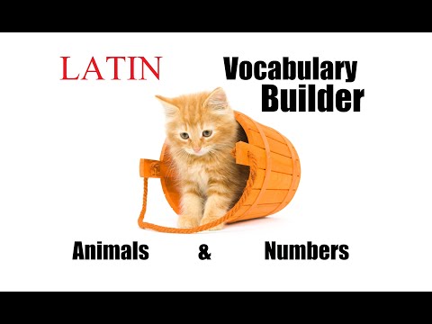 Latin Vocabulary Builder #1 - Animals & Numbers | Latin Lessons for Beginners | Latin 101