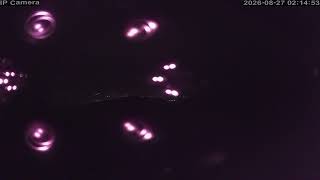 Hakuba47ウインタースポーツパーク