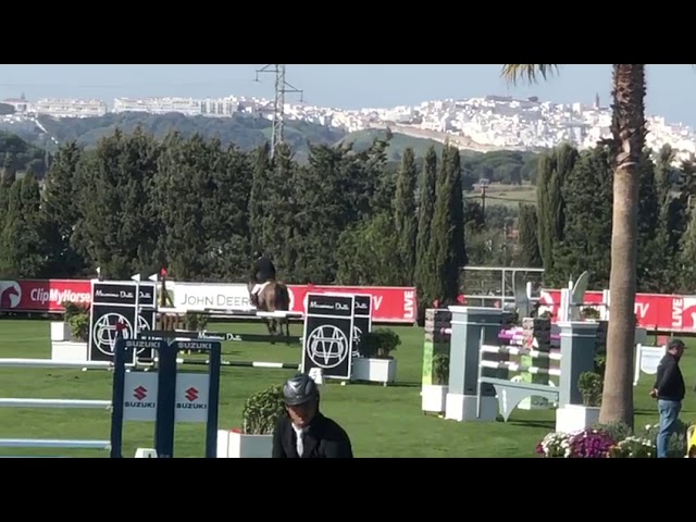 Grand-mother of Patichou is the CSI 1.45m jumping mare Kigali v/d Bisschop with rider Wilm Vermeir.