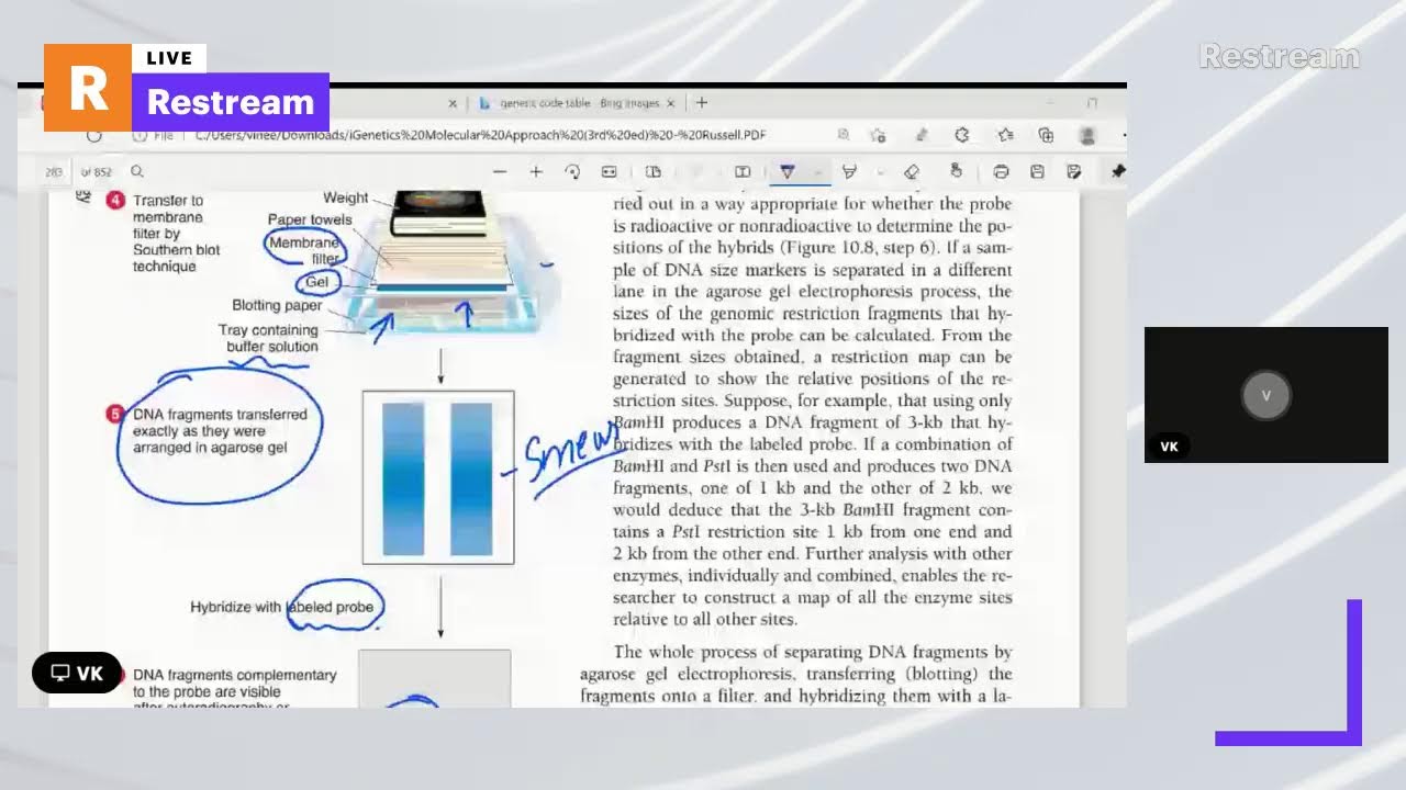 Identify Gene in Library Complementation of Mutation|Heterologous & Oligont Probes|Southern Blotting