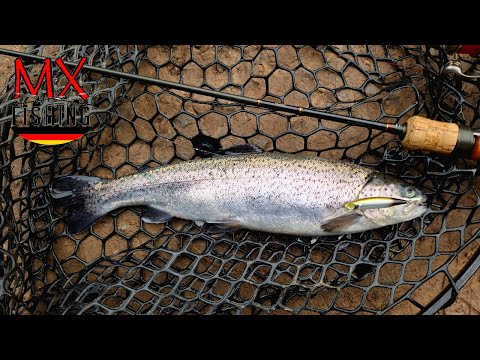 Angelpark Letscher im Dezember/ Forellen fischen mit Kunstködern/ Trout Area
