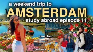 AMSTERDAM SPRING TRAVEL VLOG 💐 | tulips, exploring, food markets!! | study abroad ep 11