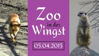 preview picture of video 'Zoo in der Wingst, 5.4.2015'