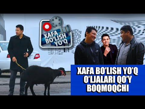 Xafa bo'lish yo'q - Eldido va Izzat Shukurov to'yga qo'y evaziga chiqishmoqda // Zak production