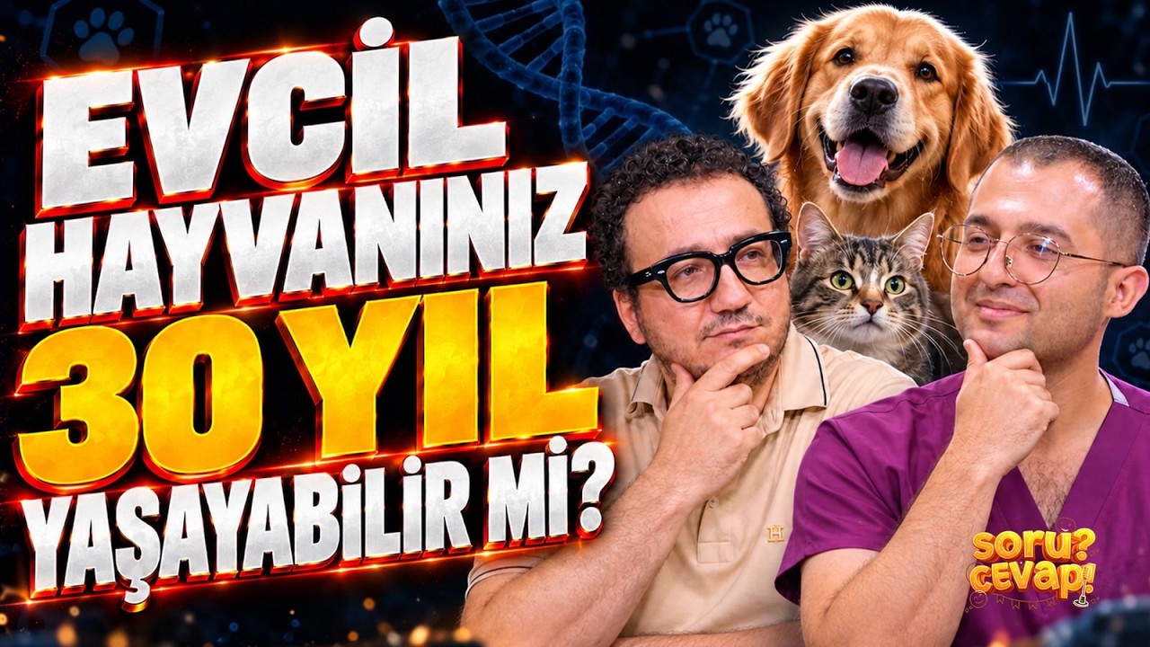 KEDİ VE KÖPEKLERİN ÖMRÜNÜ UZATAN YÖNTEM! Evcil Hayvanların Beslenmesinde Yapılan Hatalar