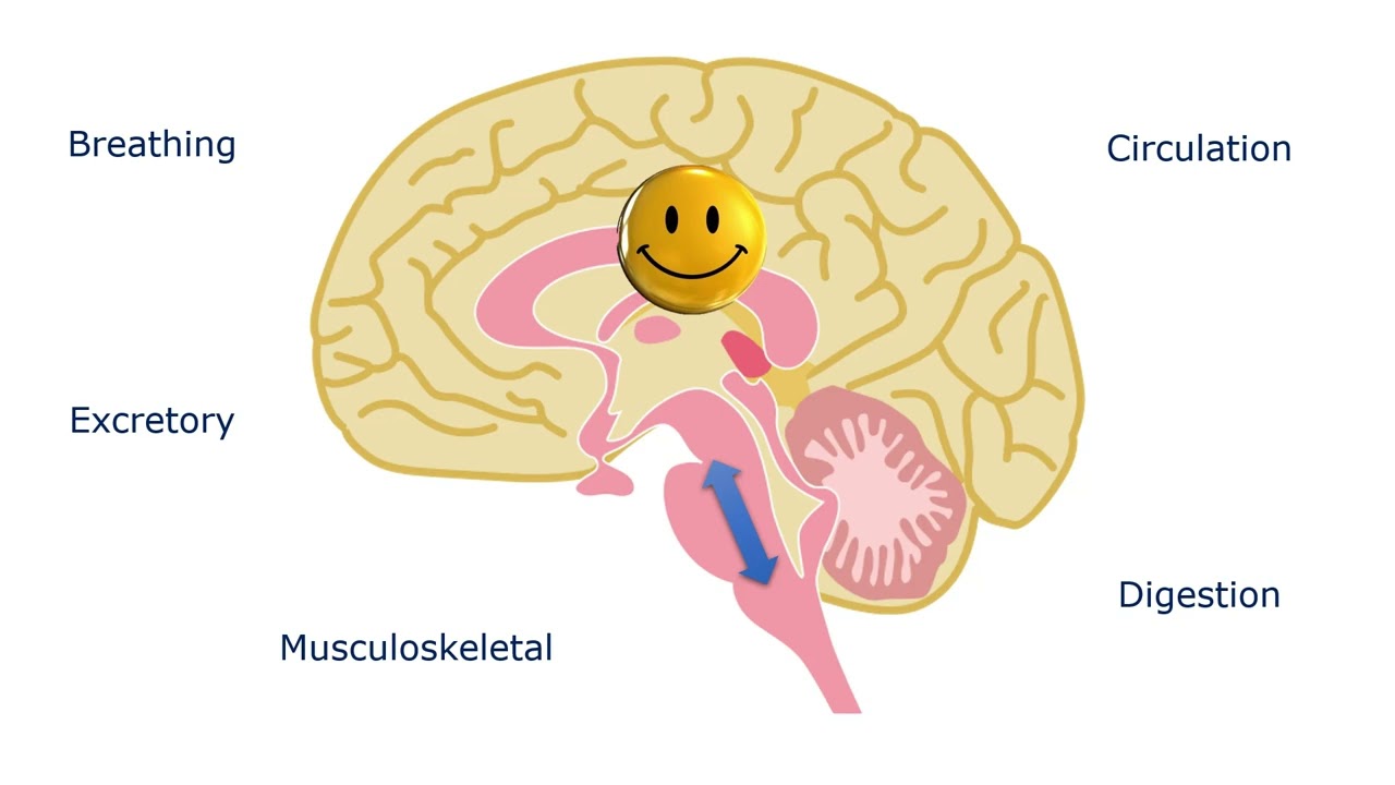 The Role of Emotions in Learning