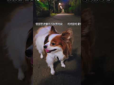 극장판 체인소 맨: 레제편 JANE DOE 뮤비 비하인드 #chainsawman #JANEDOE #papil…