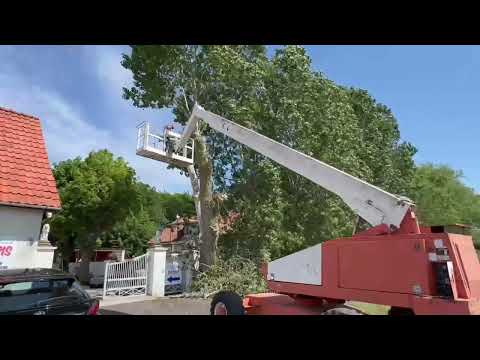 Videoklipp
