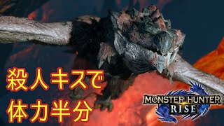 #14 【MHRise／Steam版】ポンコツとヘタレ、どっちが下か勝負だ！(ゆっくり実況)
