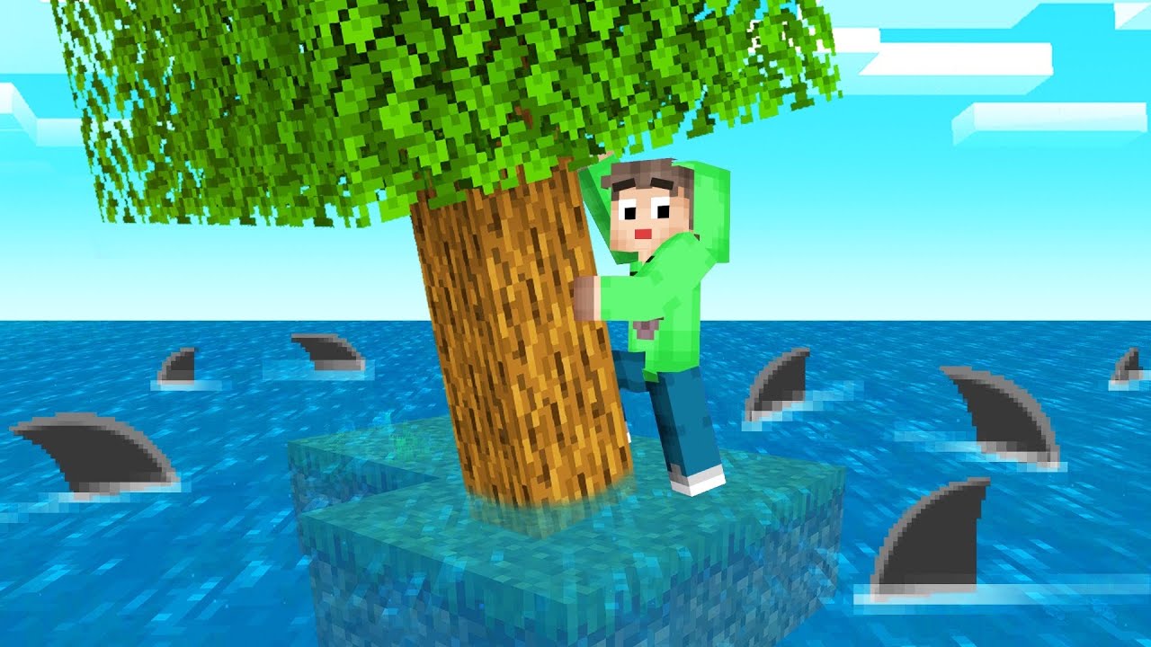 B6zelIfefLw/default.jpg