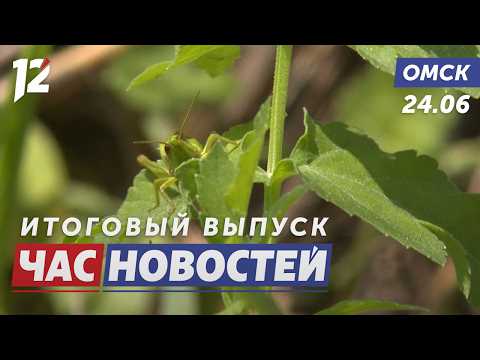 Тысячи вредителей в траве / Пристав вынес бабушку из огня / 12 погибших на воде. Новости Омска