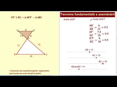 Teorema fundamentală a asemănării
