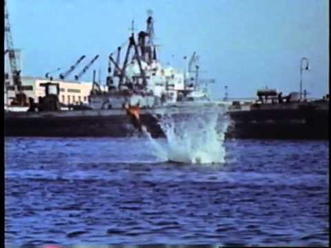 The Porpoise Song - The Monkees