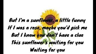 Sunflower - Allie X