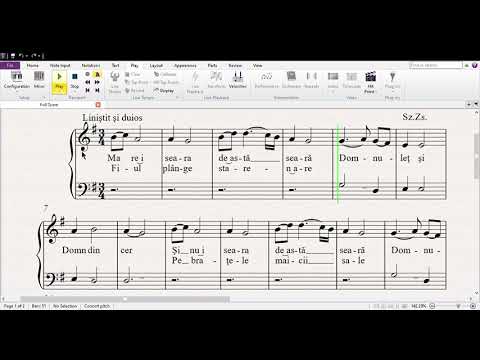 Domnuleţ şi domn din cer