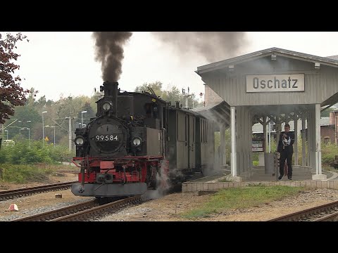 The Wild Robert - Döllnitz Railway – Original and Model | Railway Romance