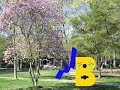 PBS 1971 P Head Ident Bloopers Number 2 ORIGINAL VERSION IS FOUND REUPLOAD