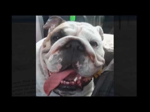 Die Woche - Días de la semana en alemán