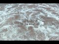 Say it ain't so - The thrills (Subtítulos al español)