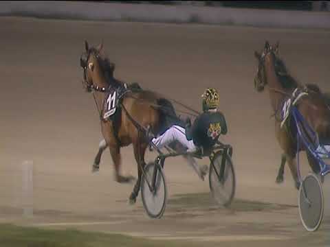 Trotto 15/01/2019 - 7ª corsa - TRIS