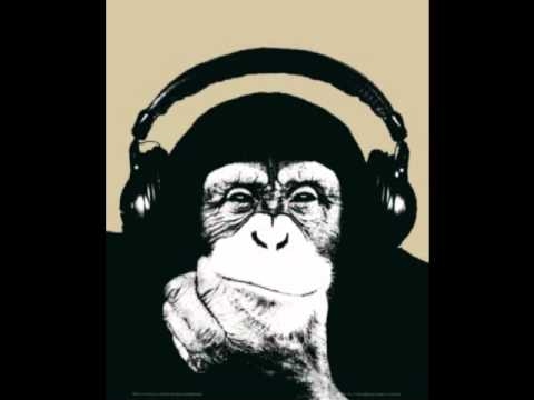 Paradisco Girls - Patron Tequila (The MusiqFuckersz & Basterdz Remix) - HQ