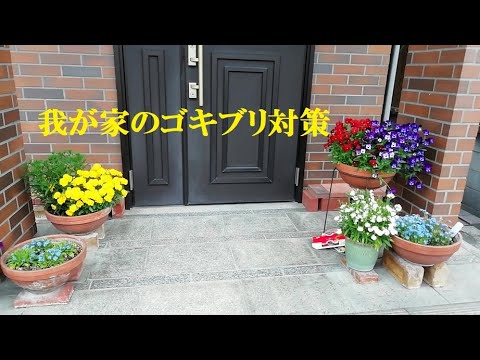 園芸 庭のゴキブリ