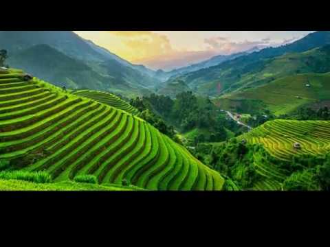 Play (Théâtre) He who walks through an unfamiliar forest, cuts an unfamiliar stick - by Byumvuhor...