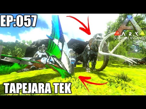 ARK MOBILE-EP-057: TAPEJARA TEK E SELA DE MAMMOTH COM PLATAFORMA