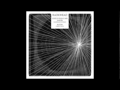 Video thumbnail for Good Evening Mrs Magpie (Modeselektor RMX)