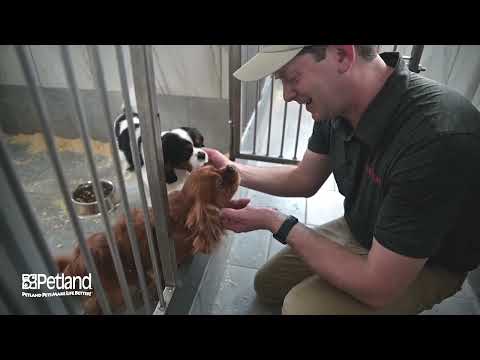 Kennel Tour 123