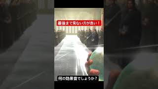 これは何の効果音でしょう！ #キングダム覇道