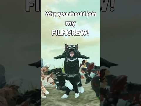JOIN MY FILMCREW! /  #warriorcatsultimateedition #wcue