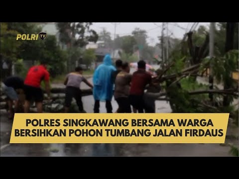 POLRES SINGKAWANG BERSAMA WARGA BERSIHKAN POHON TUMBANG JALAN FIRDAUS