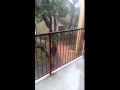 Austin monsoon 