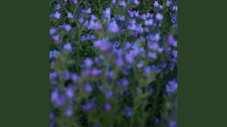 Download lagu Pinshong Art of Letting Go mp3