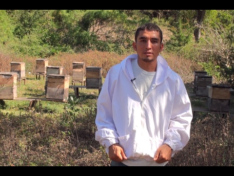 Möt biodlaren Mario