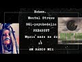 ESHAM Mental Stress SG1 Psychedelic FREAKOUT Rock Music Made Me Do It AM RADIO MIX