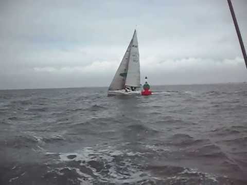 Zeilen Oosterschelde met je team