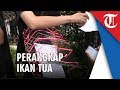 Pengunjukrasa Reklamasi Teluk Jakarta Diberikan Perangkap Ikan Tua, Ini Artinya