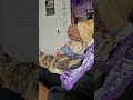 Autumn Adores Nick Who Adores Her In Return One Of His Two Favorite Cats
