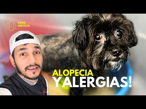 THIS DOG'S SKIN IS VERY BAD! / NATURAL BATH⚠️