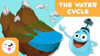 The water cycle for kids - What is the water cycle? - Why does it rain? - Science for children