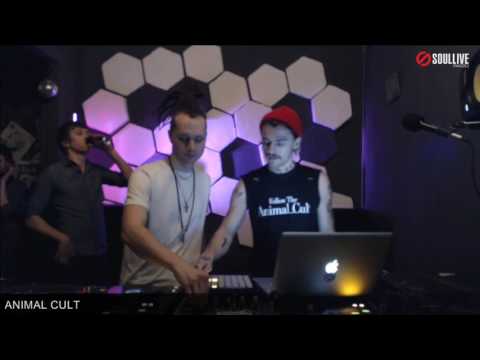 Undeground Trends - Animal Cult (05.02.2017)
