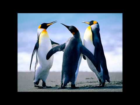 Monitor & Marika Uus - Ära Puutu