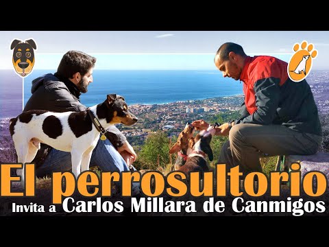El Perrosultorio - hablamos de Ansiedad por separación con Carlos Millara de Canmigos