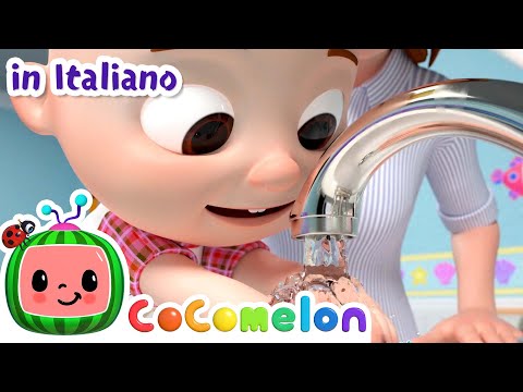 Laviamoci le mani | CoComelon Italiano - Canzoni per Bambini